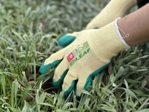 Gardener using Green Leaf Gardening Gloves at Your Safety Factory